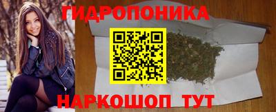гашик Гусь-Хрустальный