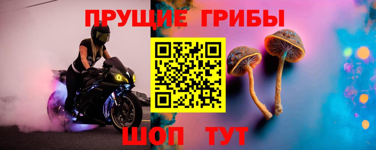 цены наркотик  Галлюциногенные грибы Cubensis  Вход с VPN  Златоуст 